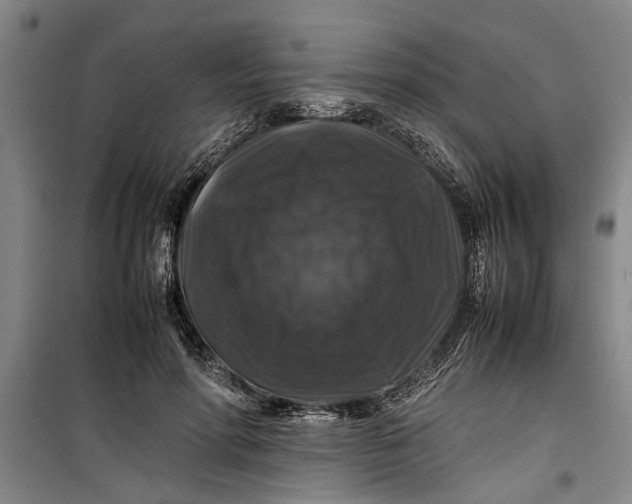 X0000099410598200805301347