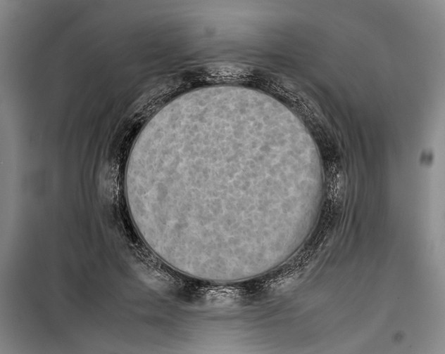 X0000099410599200805301347