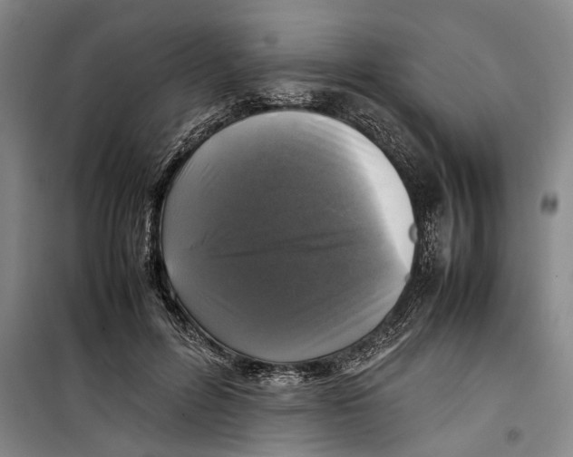 X0000099410600200805301347