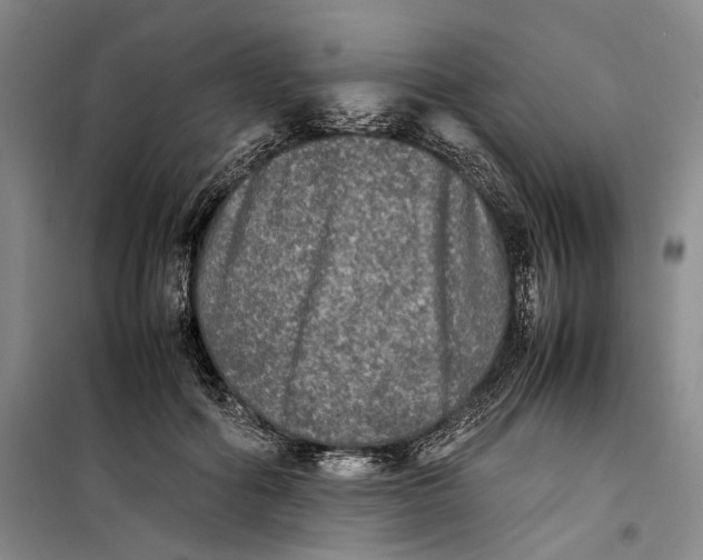 X0000099410602200805301347