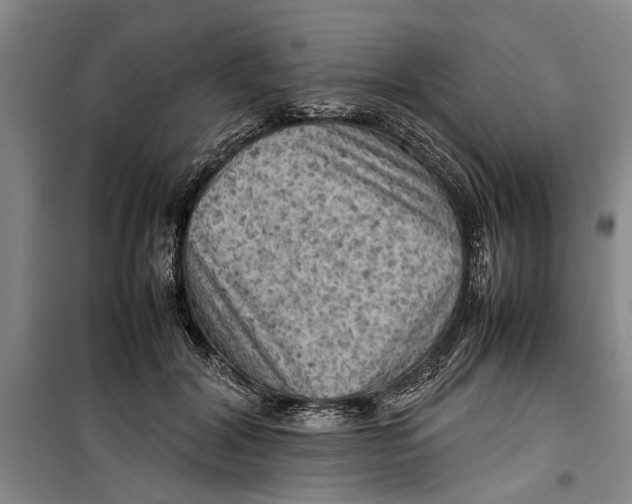 X0000099410604200805301347