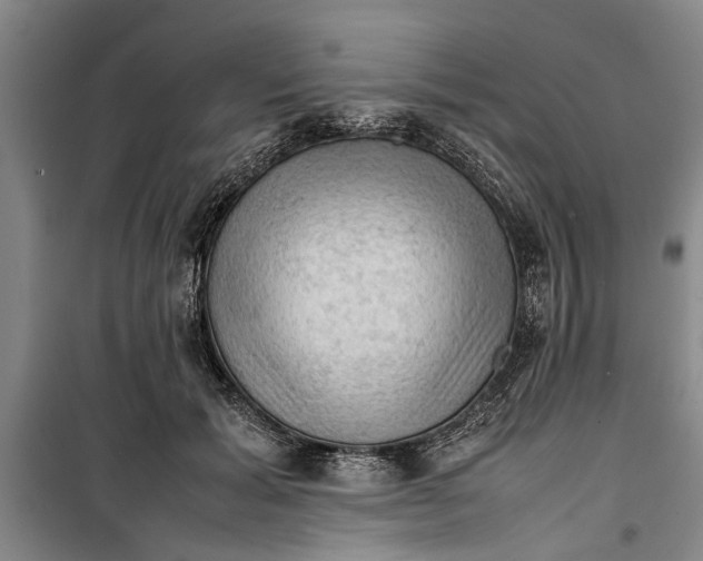 X0000099410605200805301347