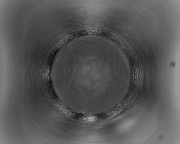 X0000099410610200805301347