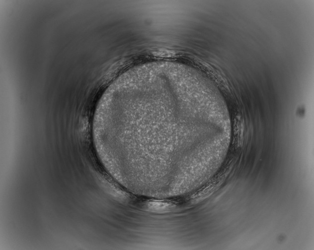 X0000099410614200805301347