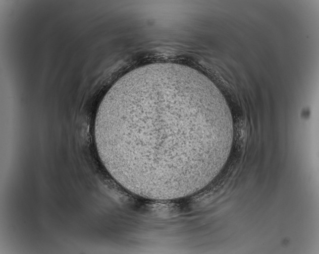 X0000099410615200805301347