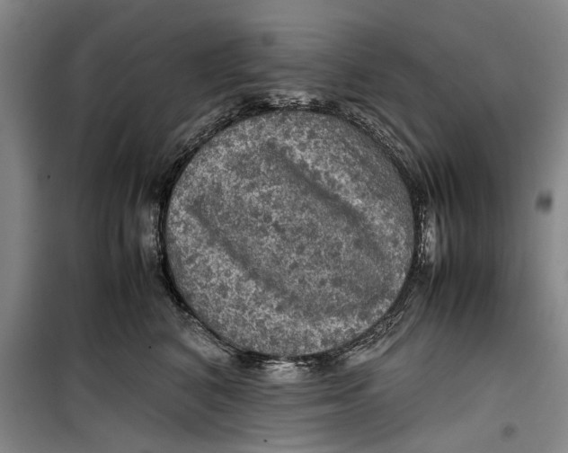 X0000099410616200805301347