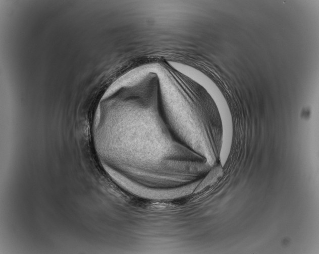 X0000099410617200805301347