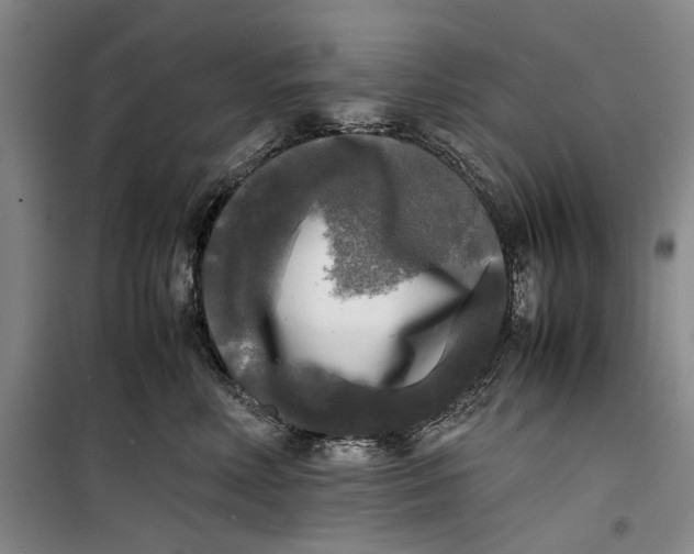 X0000099410618200805301347