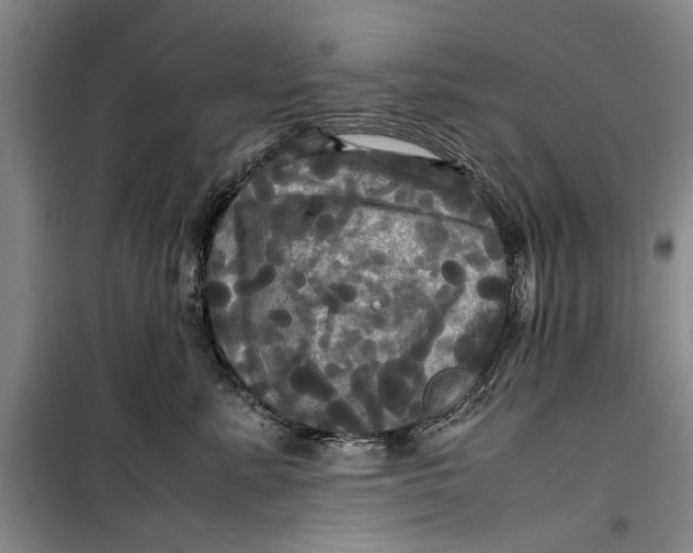 X0000099410619200805301347