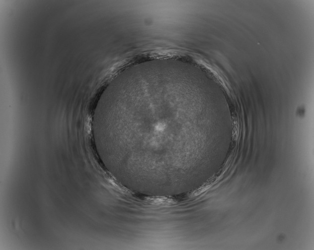 X0000099410621200805301347