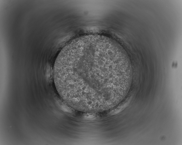 X0000099410624200805301347