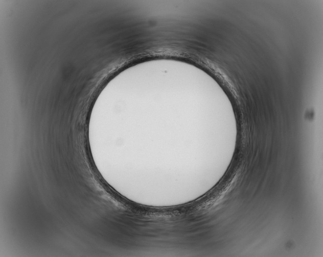 X0000099410625200805301346