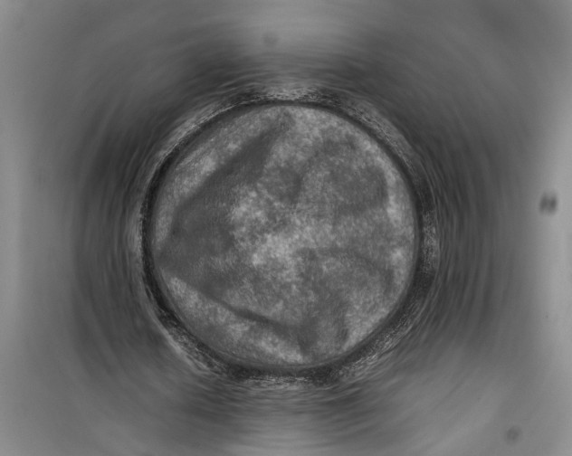 X0000099410626200805301346