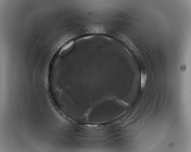 X0000099410627200805301346