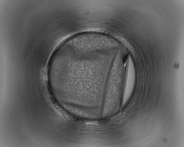 X0000099410628200805301346