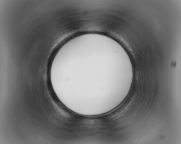 X0000099410629200805301346