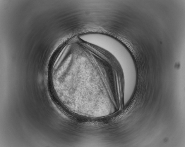 X0000099410630200805301346