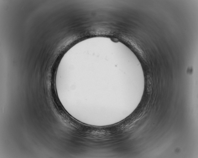 X0000099410631200805301346