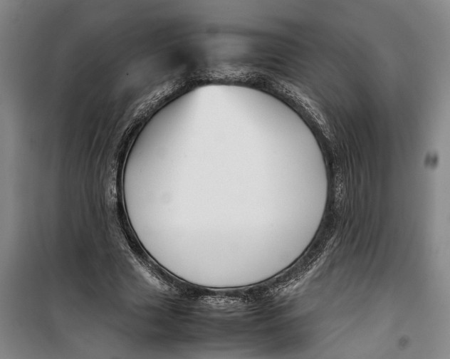 X0000099410633200805301346