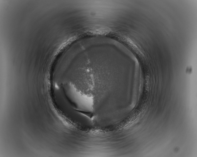 X0000099410634200805301346