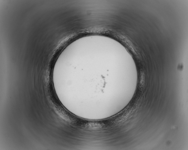 X0000099410636200805301346