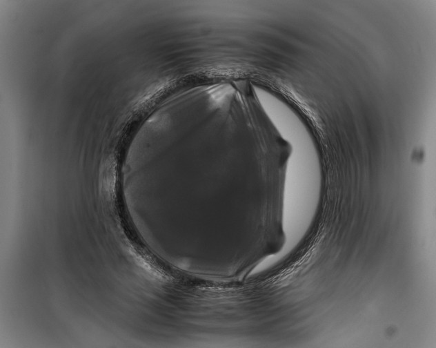 X0000099410637200805301346