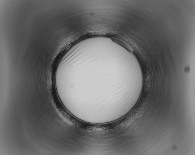 X0000099410638200805301346