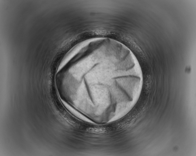 X0000099410639200805301346