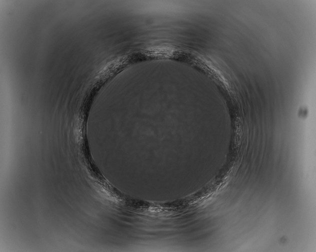 X0000099410641200805301346