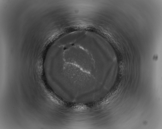 X0000099410642200805301346