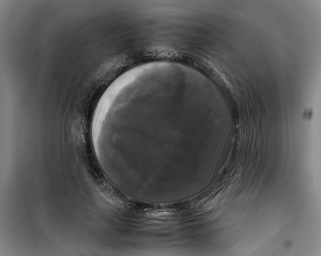 X0000099410643200805301346