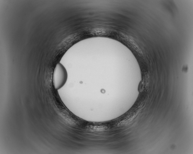 X0000099410645200805301346