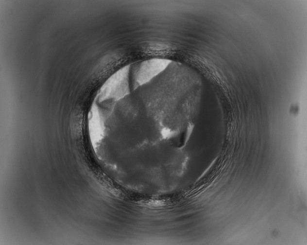 X0000099410647200805301346