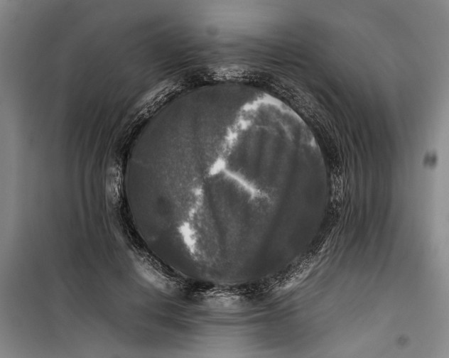 X0000099410648200805301346