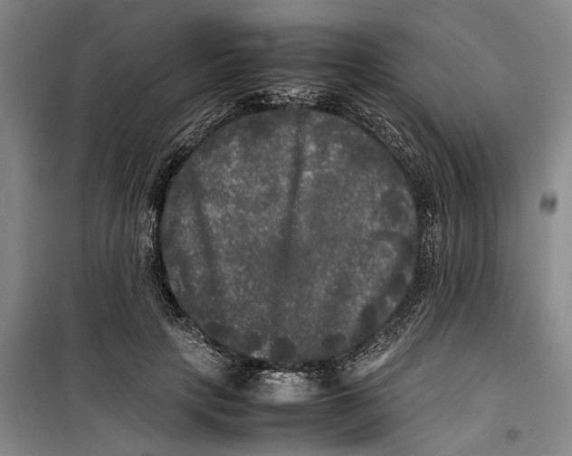 X0000099410649200805301346