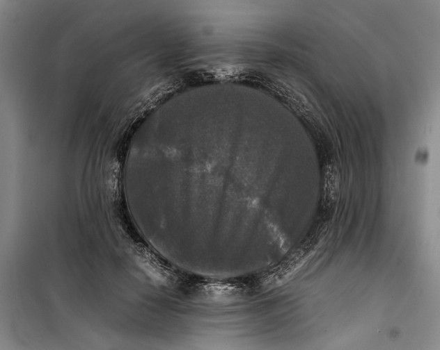 X0000099410650200805301346