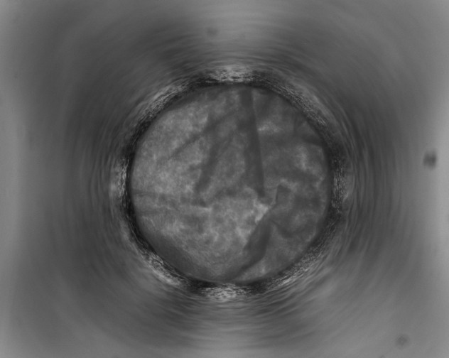 X0000099410652200805301346