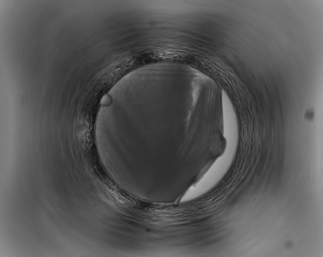 X0000099410653200805301346