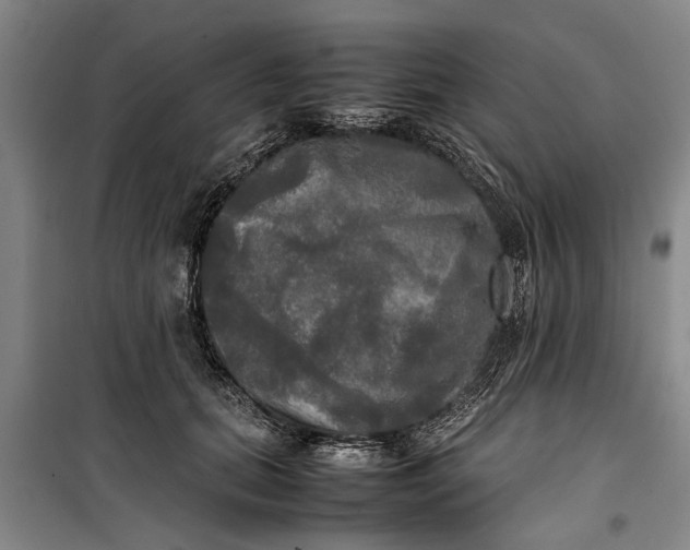 X0000099410655200805301346