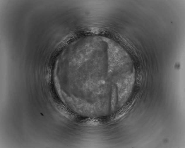 X0000099410656200805301346