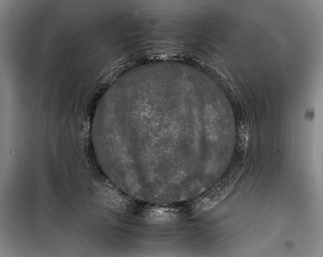 X0000099410657200805301346