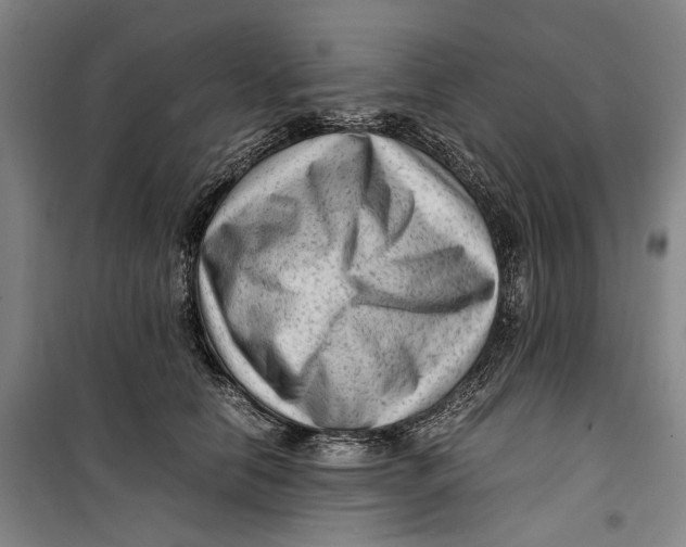 X0000099410658200805301346