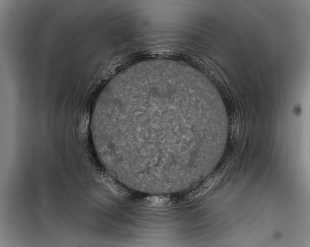 X0000099410660200805301346