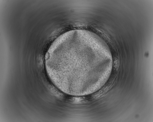 X0000099410662200805301347