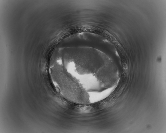 X0000099410663200805301347