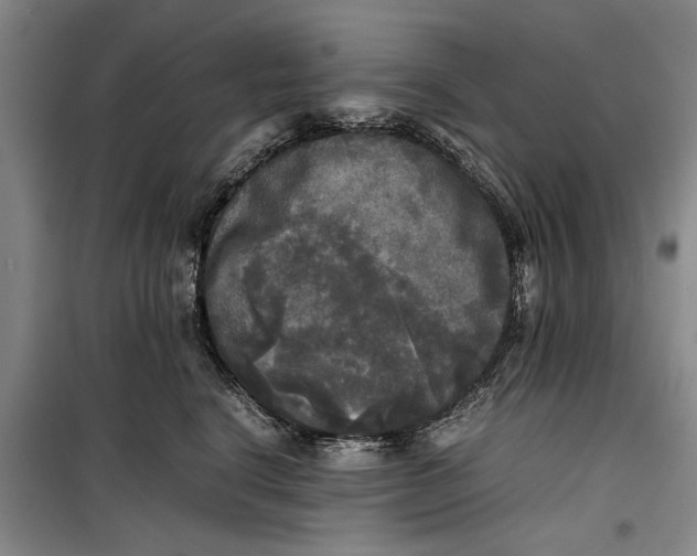 X0000099410664200805301347