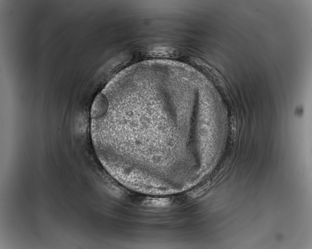 X0000099410665200805301347