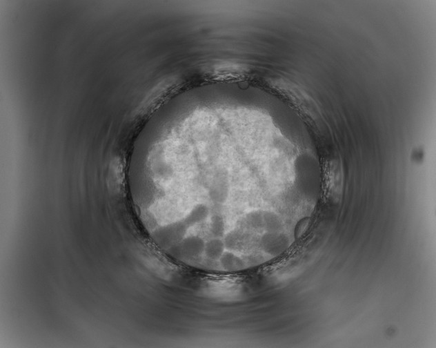 X0000099410667200805301347