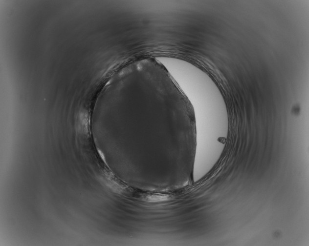 X0000099410669200805301347