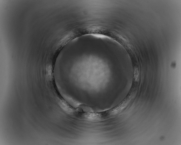 X0000099410670200805301347